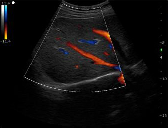 Clinical Images