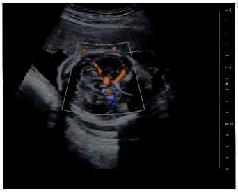 Clinical Images