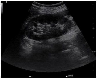 Clinical Images