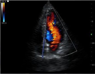 Clinical Images